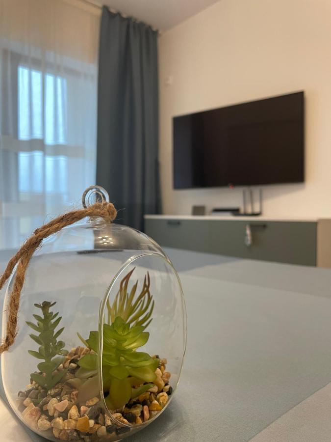 New Studio بيتستِ المظهر الخارجي الصورة
